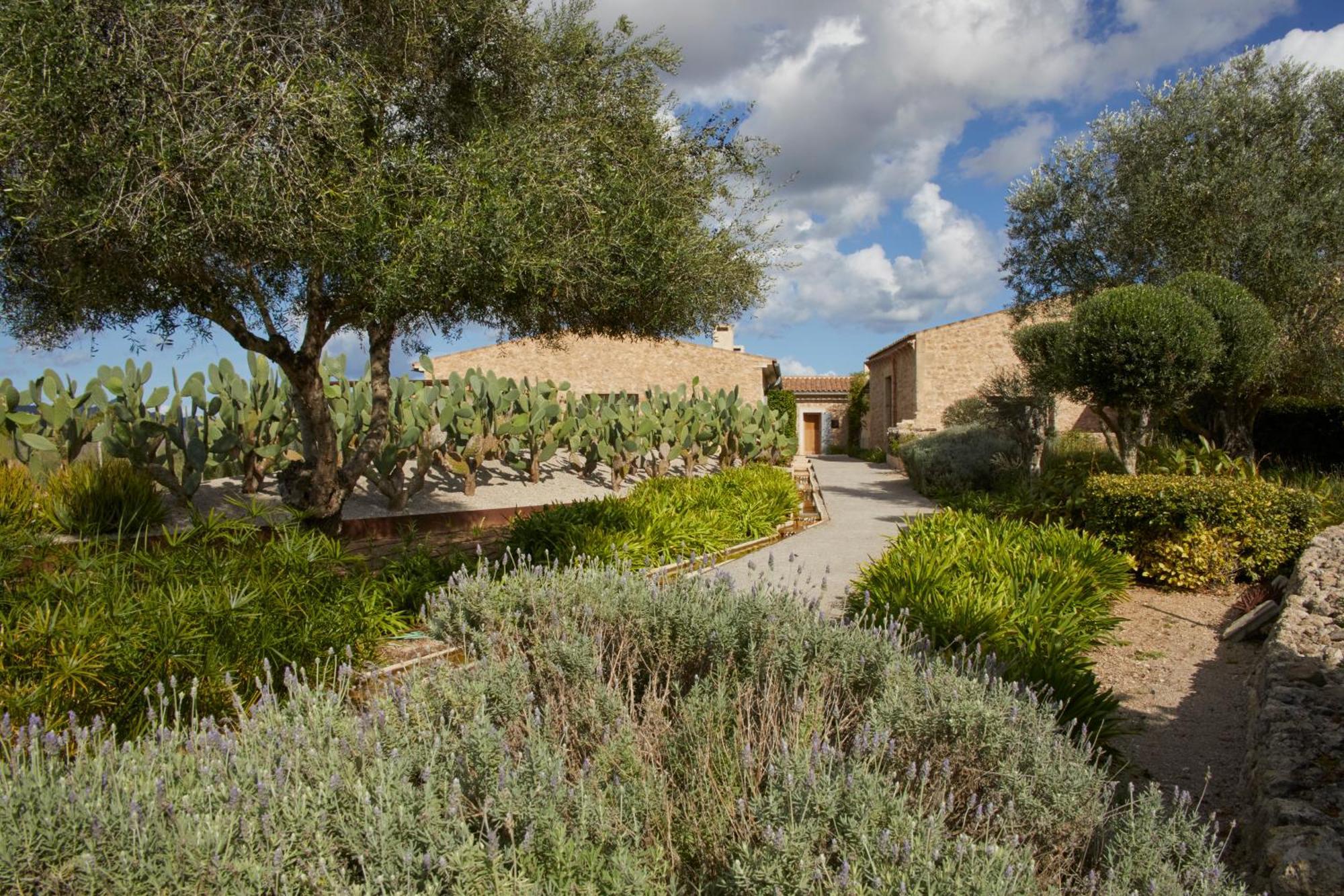 Finca Sestelrica Artá Εξωτερικό φωτογραφία