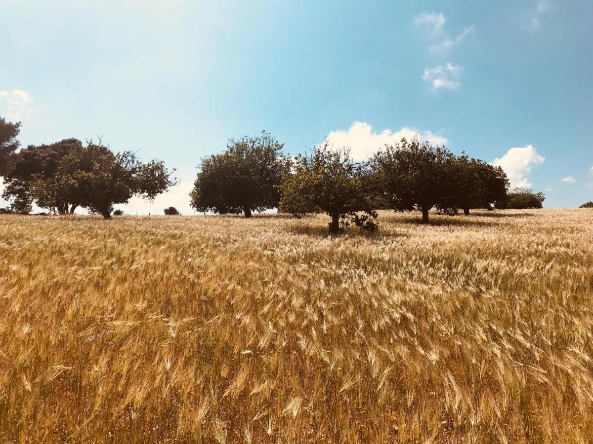 Finca Sestelrica Artá Εξωτερικό φωτογραφία