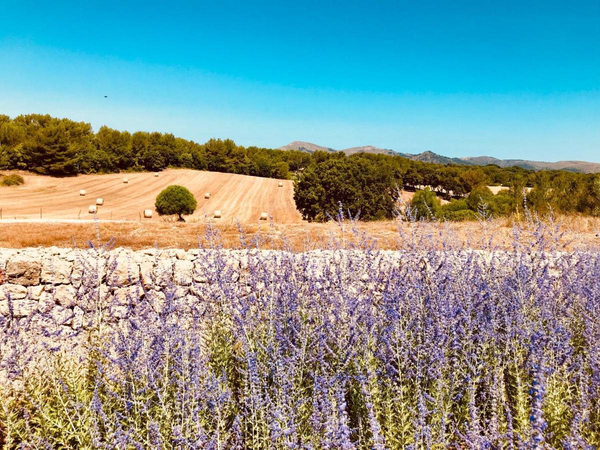 Finca Sestelrica Artá Εξωτερικό φωτογραφία